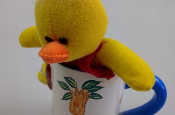 LG Nexus 5X - Mostre Foto (ziua): IMG_20160325_145525.jpg