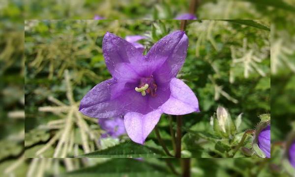 Nokia și fotografii făcute cu N9