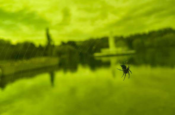 Motorola moto g86 Power - Mostre macro, closeup: Motorola-g86-power-Mostre-macro_011.jpg