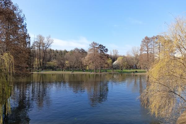 realme 10 4G - Mostre Foto (ziua)