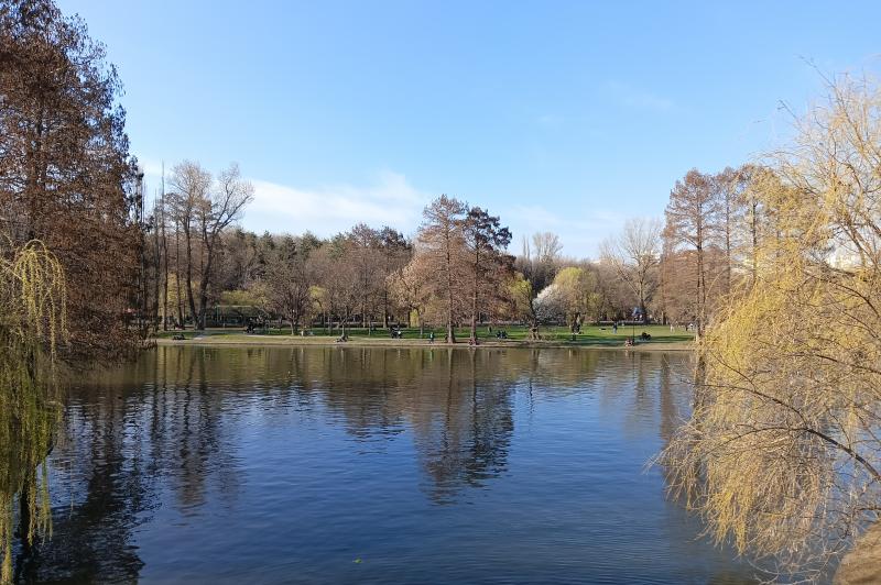 realme 10 4G - Mostre Foto (ziua): IMG20230319161102.jpg