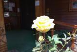 IMG_20250602_125307.jpg