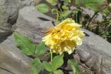 IMG_20250602_125340.jpg