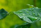 OPPO-Find-X8-Ultra-Macro_016.jpg