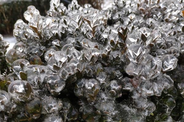 Xiaomi Mi Mix 3 - Mostre Foto (ziua)