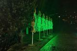 IMG_20241228_205926.jpg