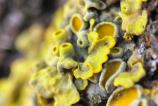 HUAWEI-Mate-X6-Mostre-Macro_009.jpg