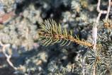 HUAWEI-Mate-X6-Mostre-closeup_005.jpg