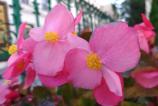 P_20161009_145606_vHDR_Auto.jpg