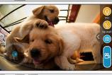 playdate-gallery-6-1.jpg