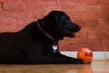 playdate-gallery-1-1.jpg