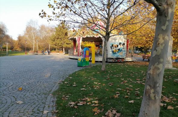 Huawei P smart 2021 - Mostre Foto (ziua): IMG_20201122_144702.jpg