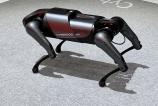 Xiaomi-Cyberdog_005.jpg