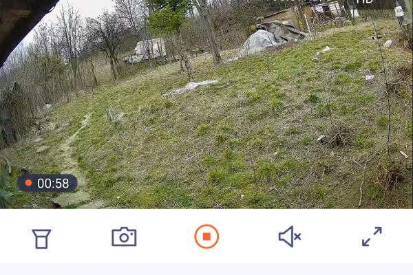 Aplicație TDSEE - Galerie capturi de ecran