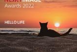 HUAWEI NEXT IMAGE_Hello Life.jpg
