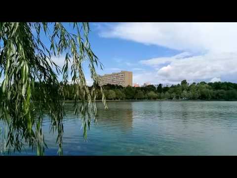 Allview X3 Soul Pro, mostră video Full HD, 25 FPS (dynamic range & autofocus & zoom)