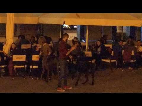 LG G5, mostră video low light Full HD, 30 FPS (zoom) - Mobilissimo.ro