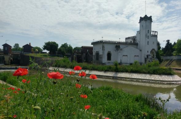 HTC 10 - Mostre Foto (ziua): 2016-05-28 12.40.33.jpg