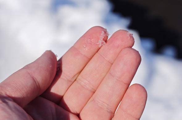 Xiaomi 17 Ultra - Mostre macro, closeup: Mostre-macro-closeup_ (5).jpg