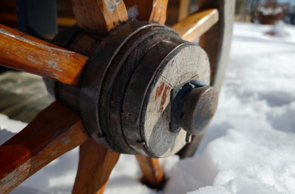 Xiaomi 17 Ultra - Mostre macro, closeup: Mostre-macro-closeup_ (3).jpg