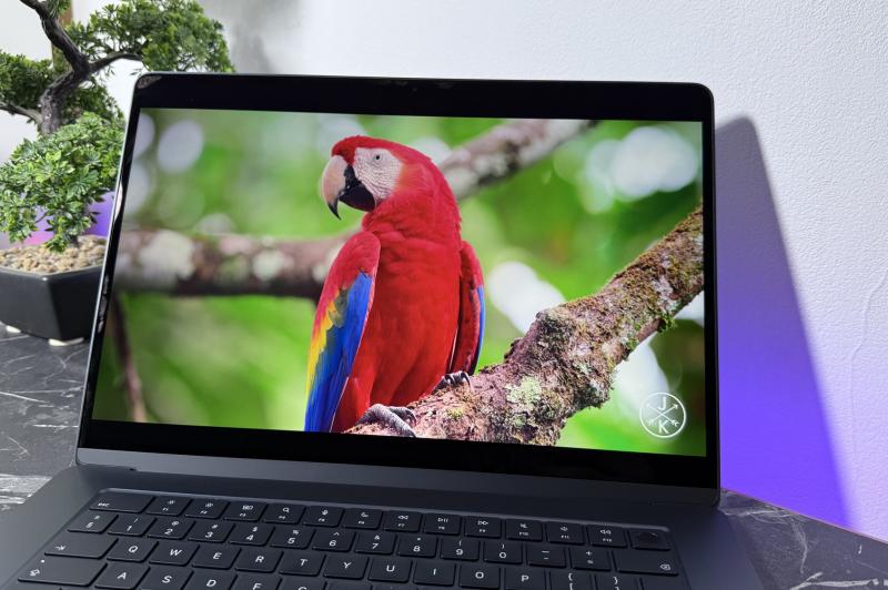 Apple MacBook Air M5 - Display: img011.jpg