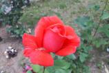 20160523_163541.jpg