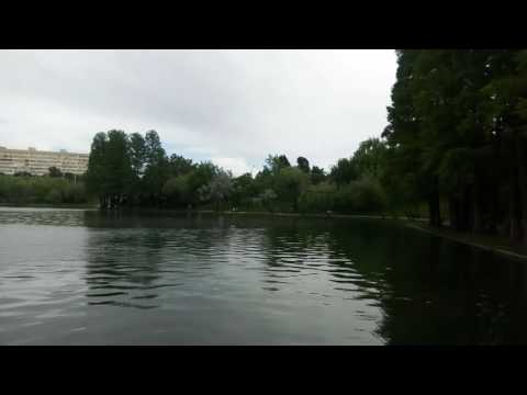 Allview P8 Energy Pro, mostră video Full HD 25 FPS (panoramare & autofocus) - Mobilissimo.ro