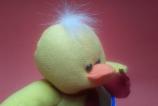 IMG_20110225_172150.jpg