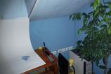 IMG_20110227_170415.jpg