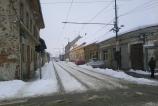 IMG_20110225_133010.jpg