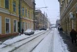 IMG_20110225_133051.jpg