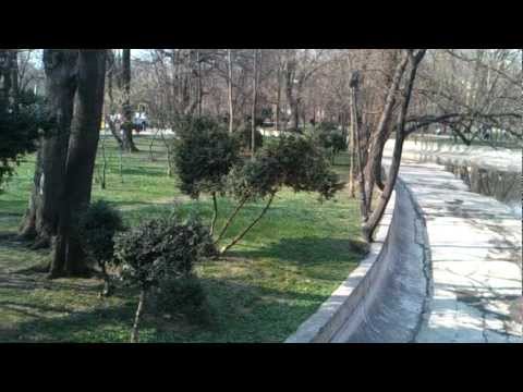 LG Optimus 3D Max video sample 2D