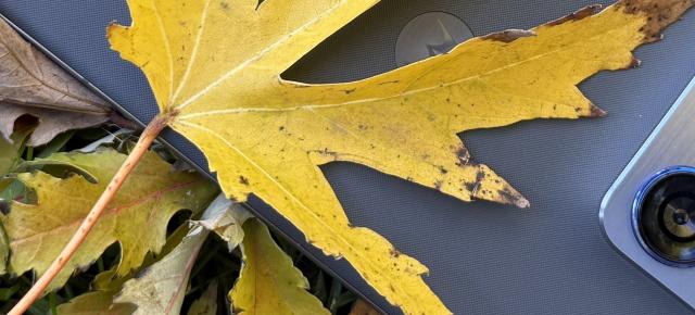 Cum fotografiază cel mai subțire smartphone Motorola al momentului? (Teaser - Mostre foto)