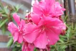 IMG_20170927_165026.jpg