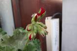 20190504_165525.jpg
