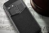 Vertu-Aster-P_003.jpg