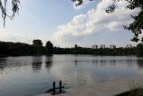 20180823_171306.jpg