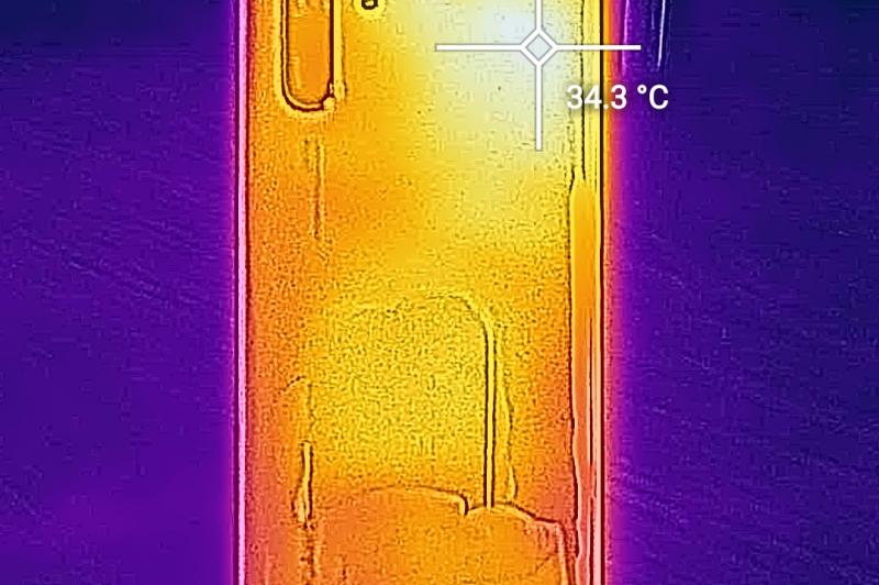 Test termic Huawei P30 Pro: flir_20190410T124425.jpg