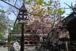IMG_20160406_152048.jpg