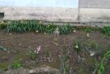 IMG_20160406_152912.jpg