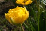 IMG_20160406_154701.jpg