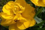 IMG_20160406_154657.jpg