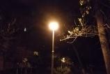 IMG_20160408_222037.jpg
