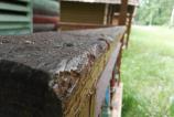 IMG_20160501_165045.jpg