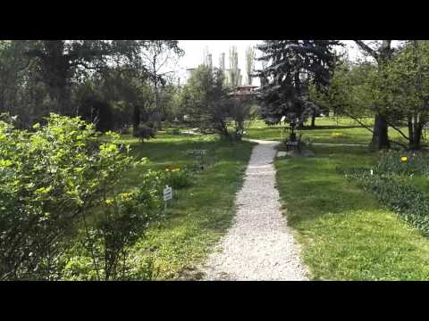 Huawei Honor 7, mostră video Full HD, 30 FPS (Zoom) - Mobilissimo.ro