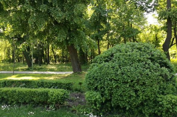 Plan apropiat, mult verde (Samsung Galaxy S7 vs Huawei P9 vs Xiaomi Mi 5): Huawei P9