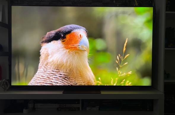 TCL MiniLED 65C845 - Fotografii: TCL-MiniLED-65C845_013.jpg