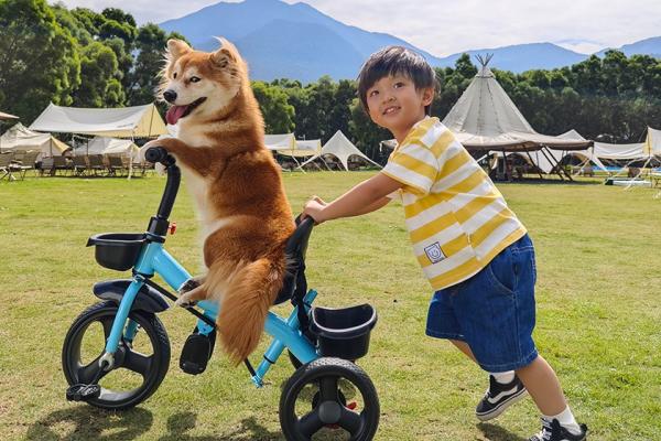 Xiaomi 14 - Mostre foto