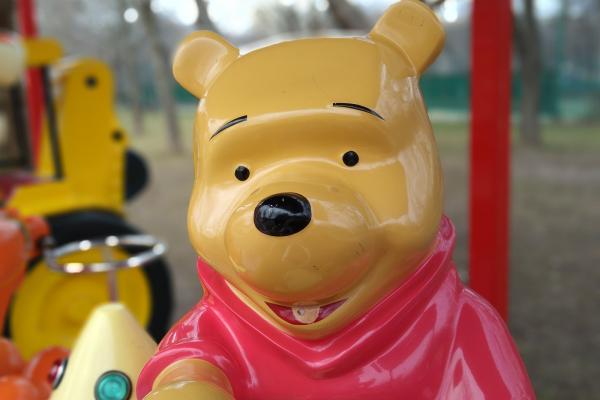 Vivo Y20s - Mostre Foto (ziua)