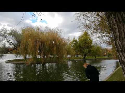 Huawei MediaPad M3, mostră video Full HD, 30 FPS (panoramare, dynamic range) - Mobilissimo.ro